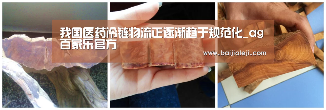 ag百家乐官方