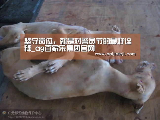 ag百家乐登录
