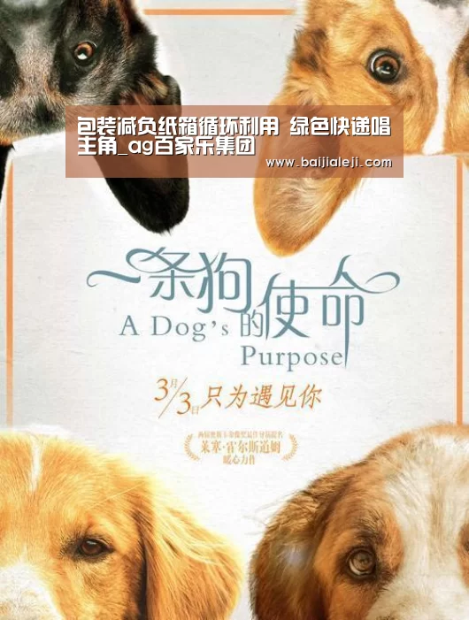 ag百家乐官方